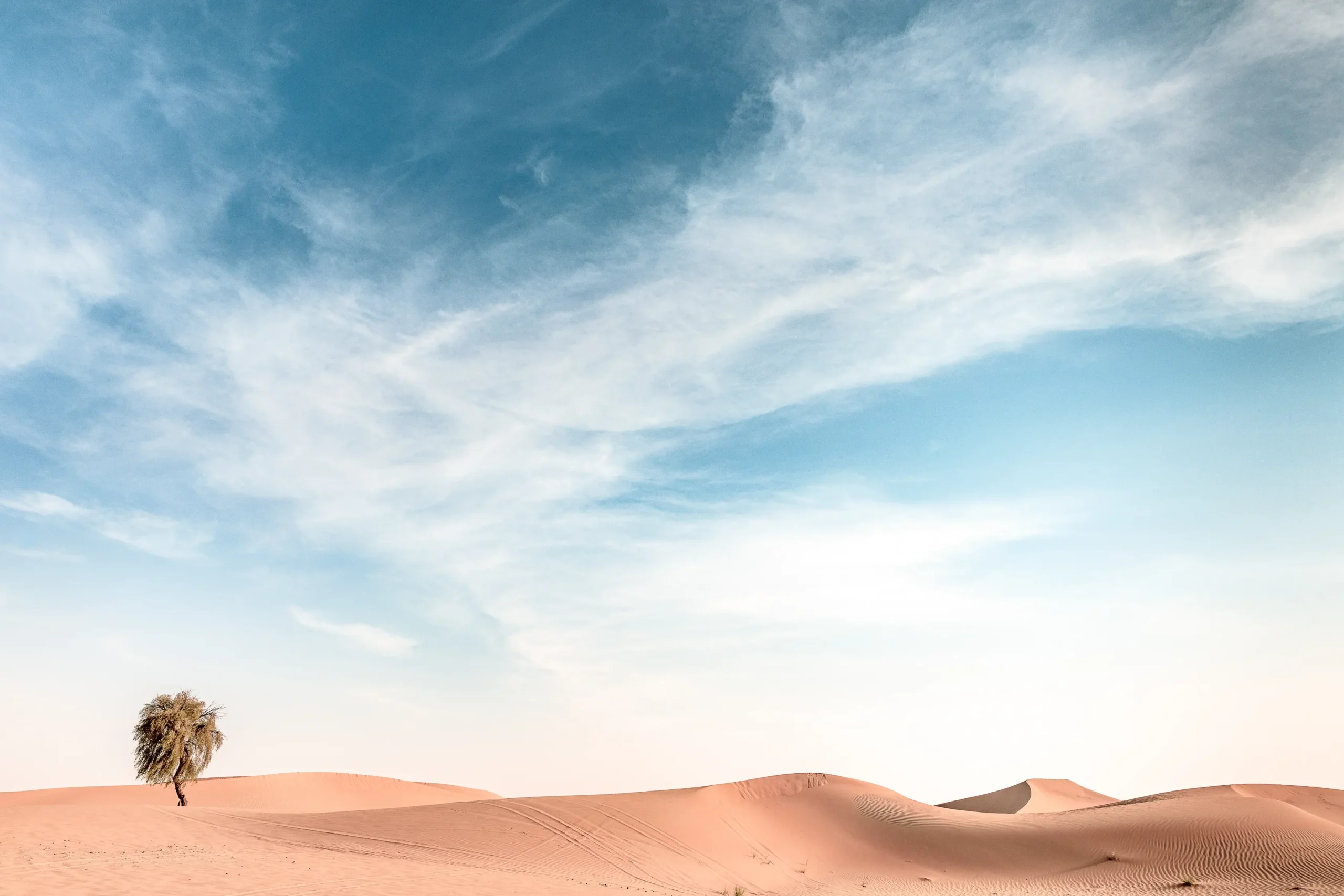 Desertification, Land Degradation and Drought